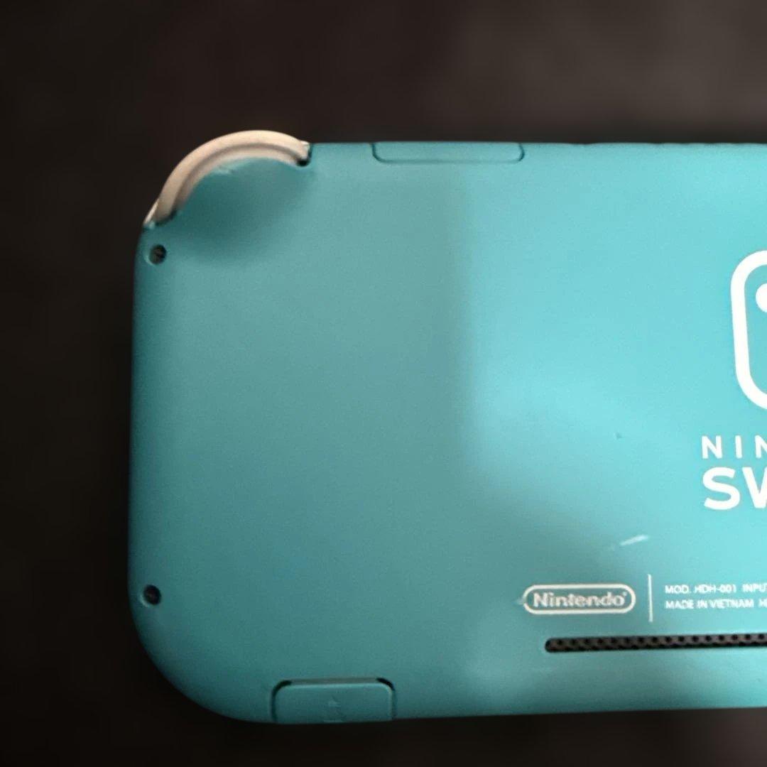 Switchライト　本体　ジャンク品