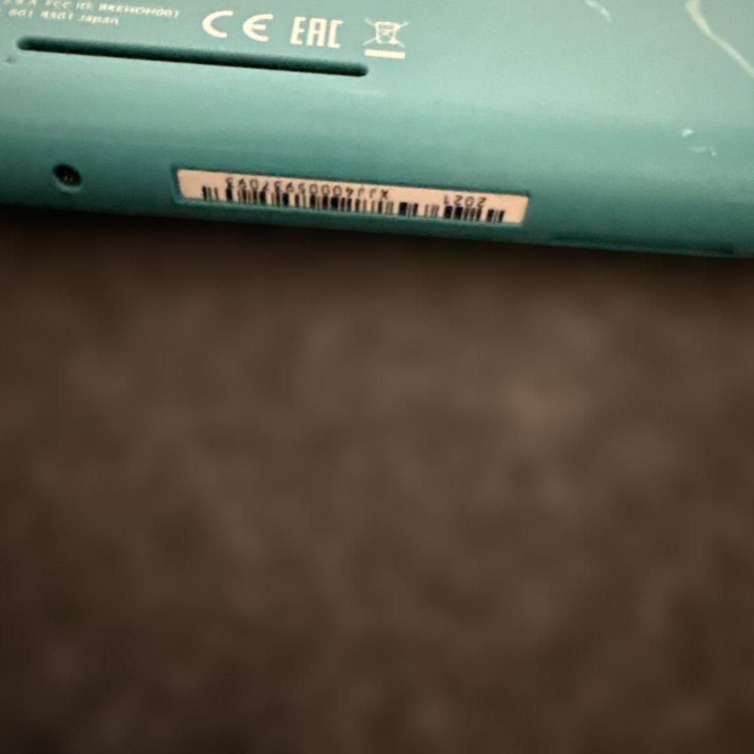 Switchライト　本体　ジャンク品