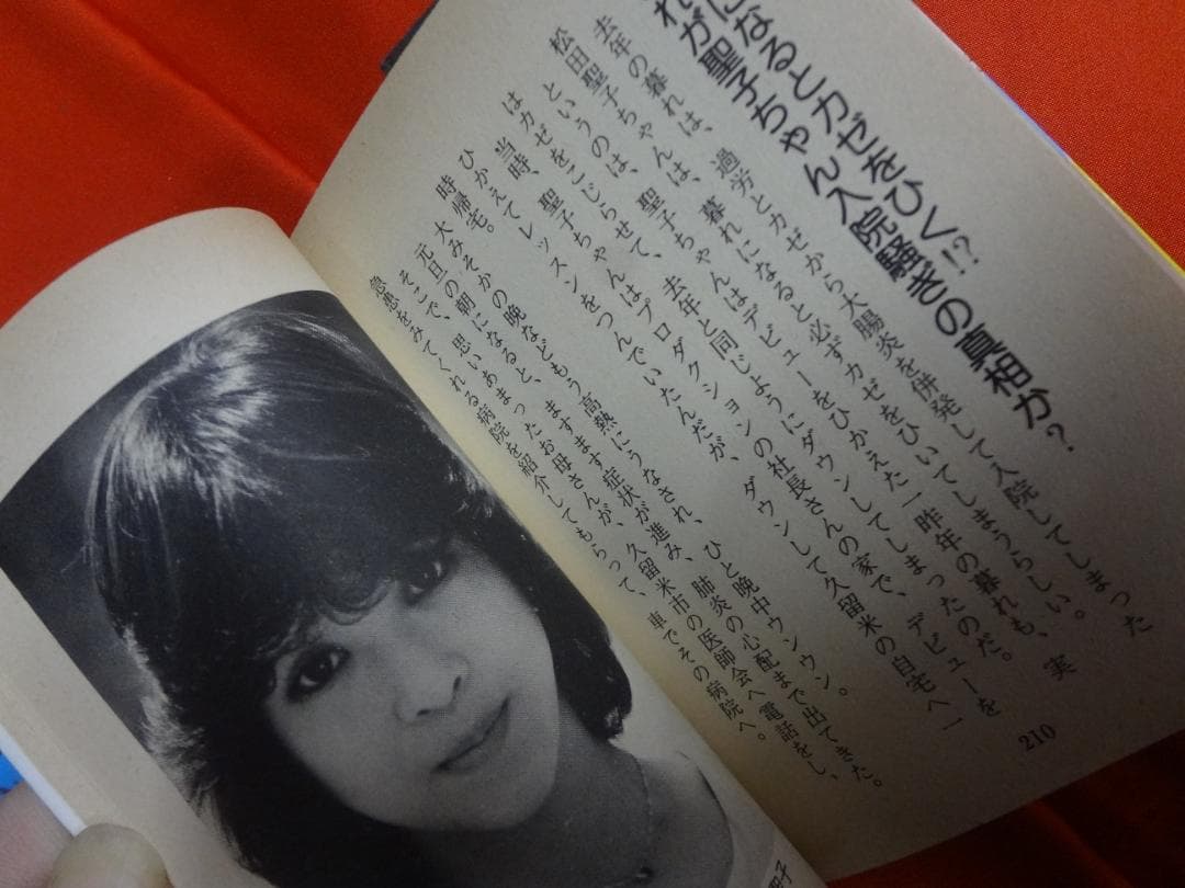 スターになる本・スター秘全集 (1981年) (豆たぬきの本)