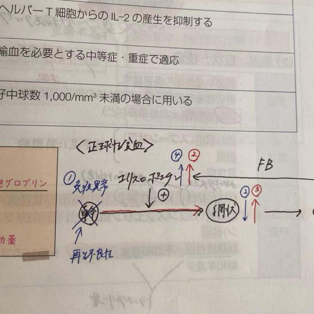 薬ゼミの要点集　全9冊セット