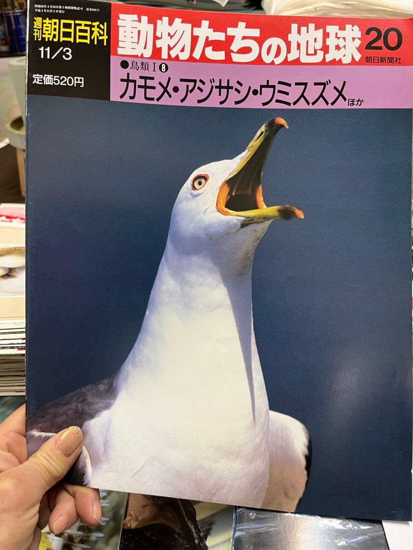 週間朝日百科　動物たちの地球 1〜144