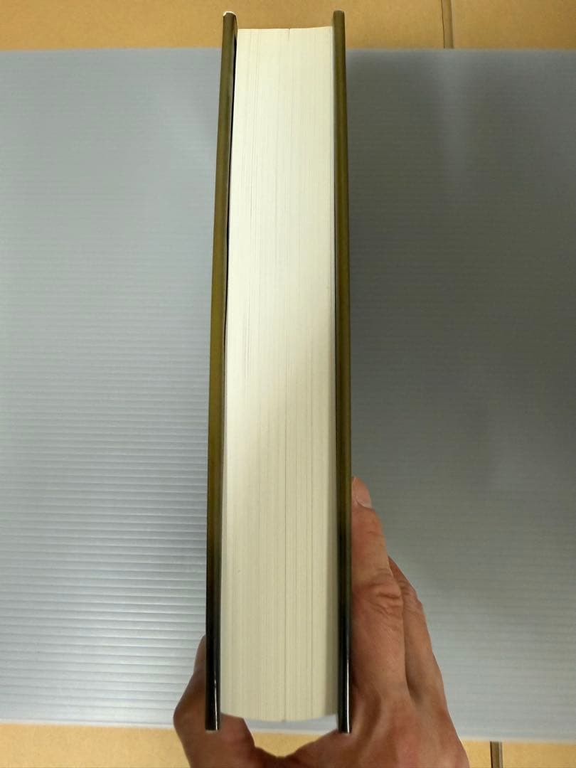 洋書 BIRDS OF PREY OF THE INDIAN SUBCONTINENT