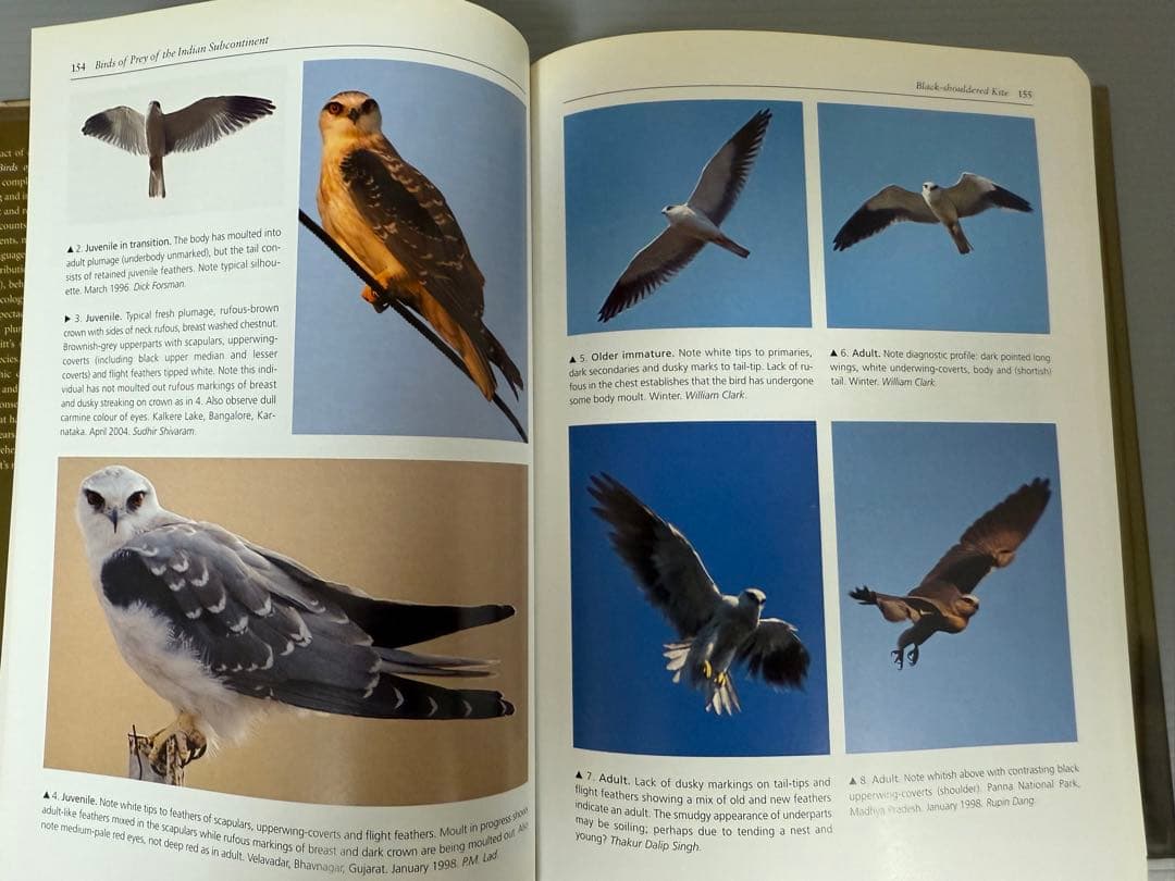 洋書 BIRDS OF PREY OF THE INDIAN SUBCONTINENT