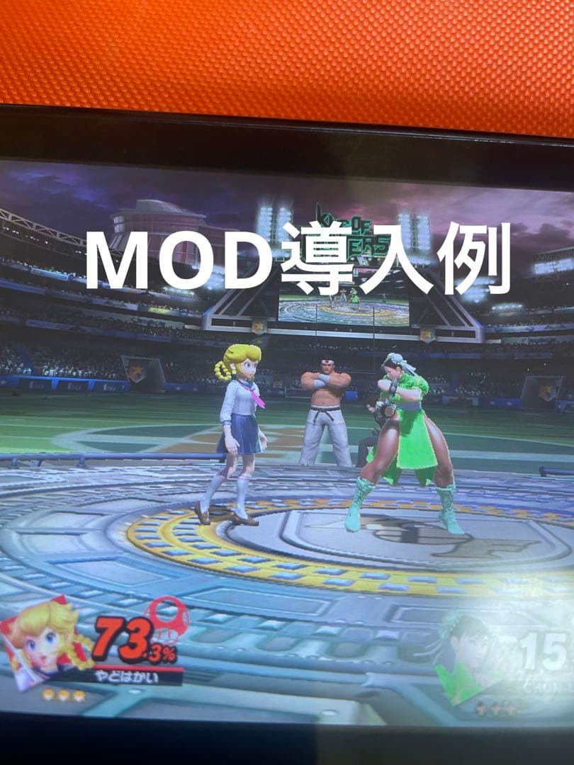 Nintendo switch本体 激レア