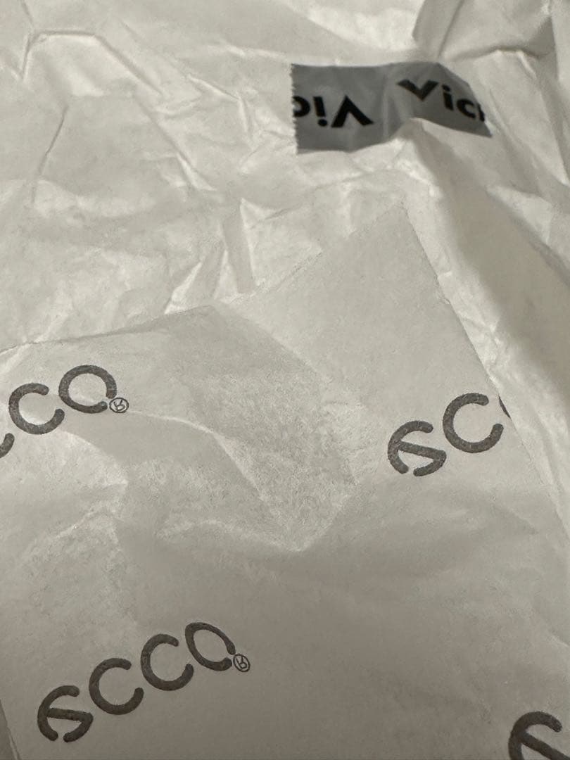 エコー ECCO BIOM C4 GTX 新品未使用
