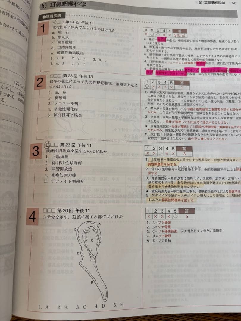 言語聴覚士国家試験必修ポイント ST基礎科目 専門科目 2025 2冊セット