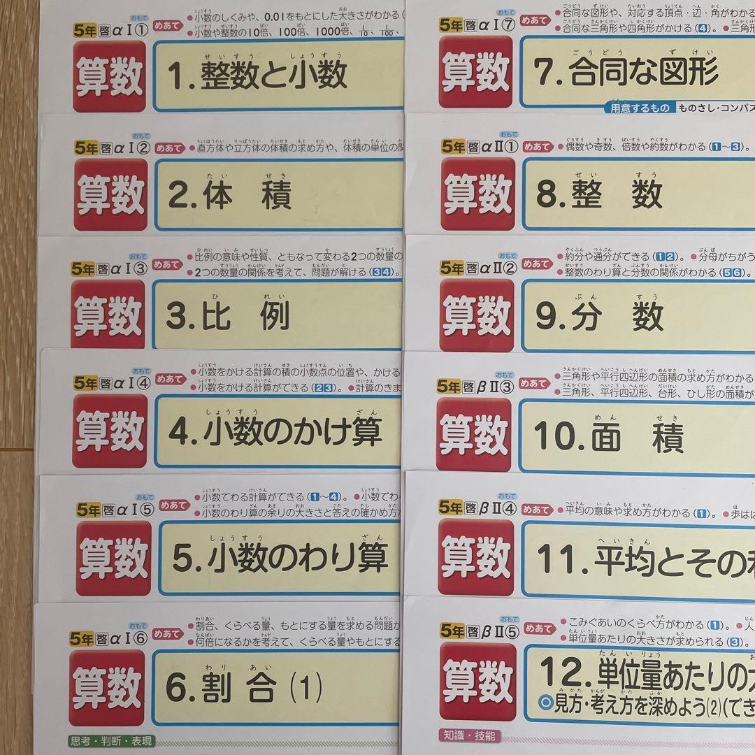 最新版　小学5年生　算数　カラーテスト　正進社　啓林館　欠番なし　令和7年度