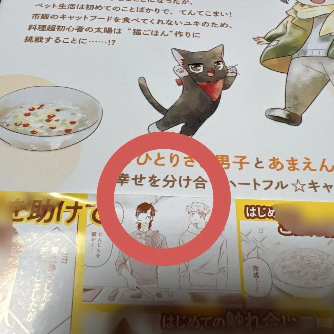 猫には猫の猫ごはん。