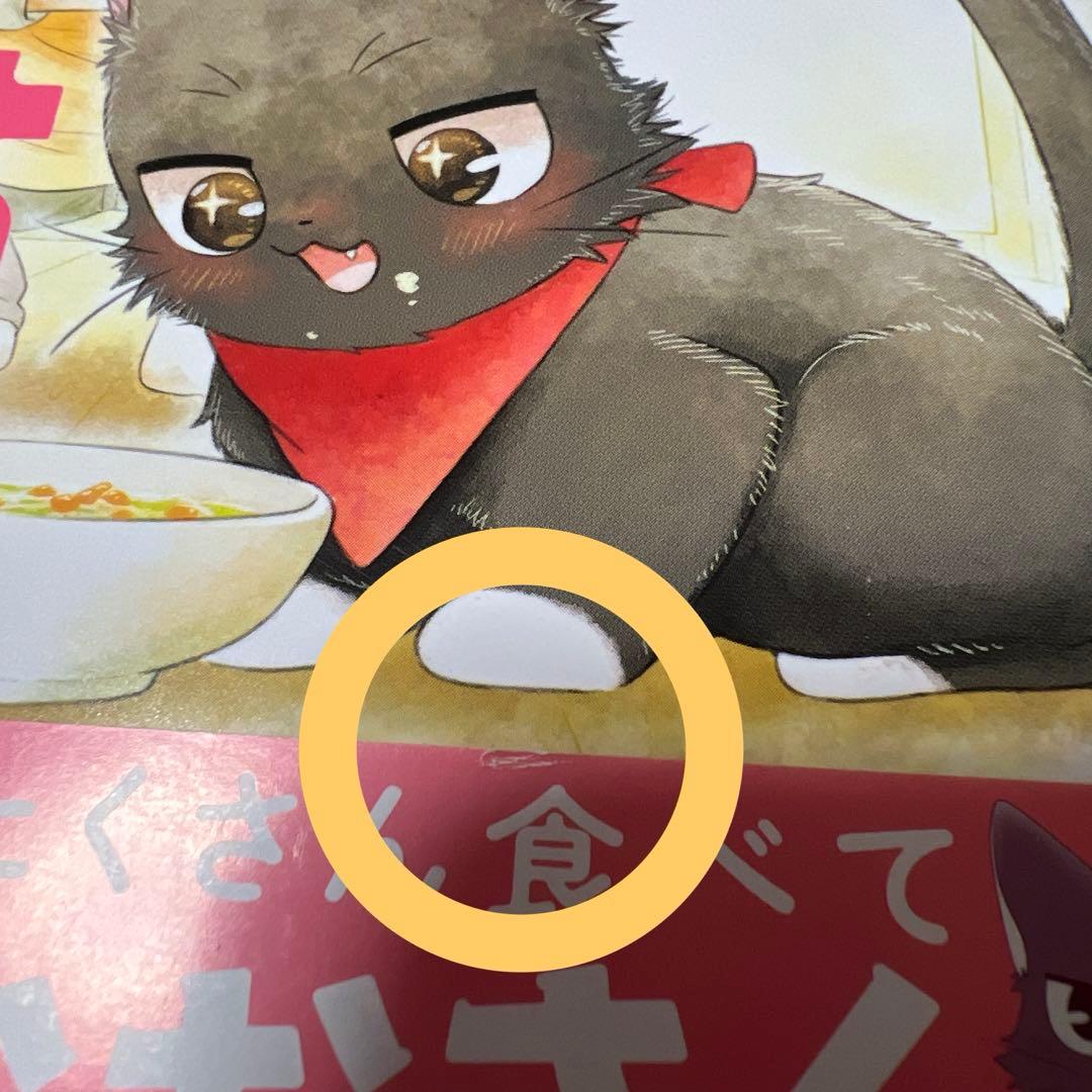 猫には猫の猫ごはん。
