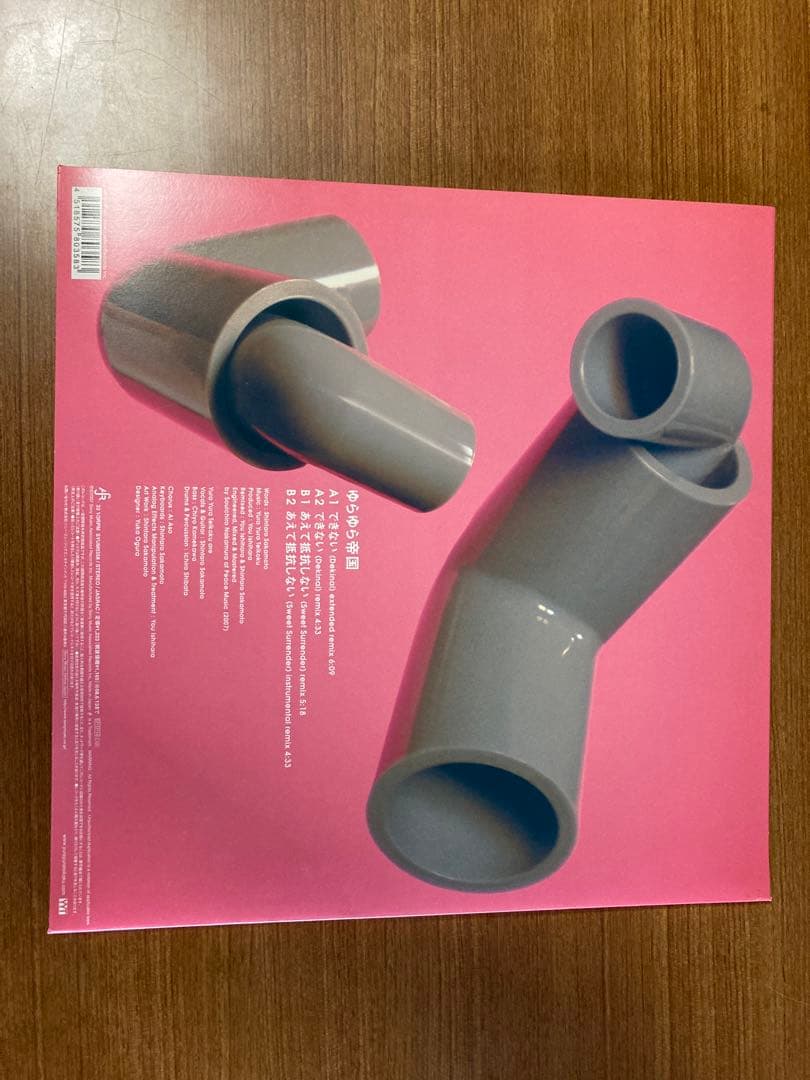 ゆらゆら帝国　アナログ　レコード　12inch DEKINAI 坂本慎太郎