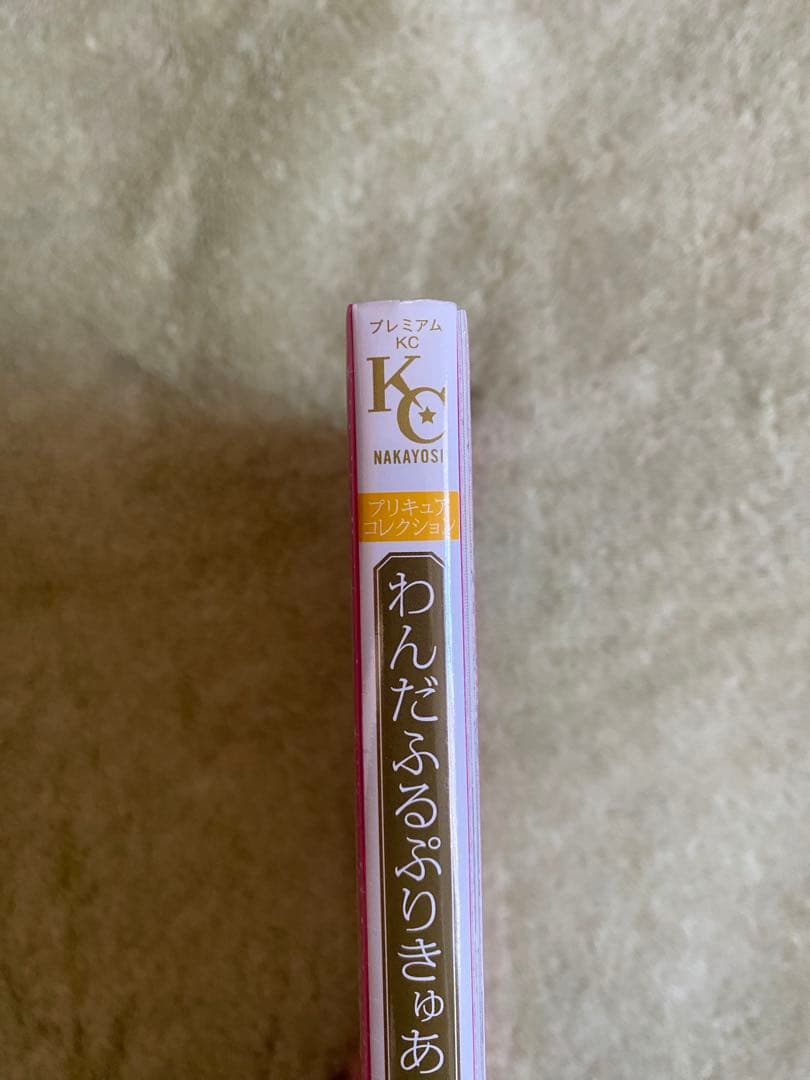冬*9様 わんだふるぷりきゅあ！プリキュアコレクション　小冊子つき特装版