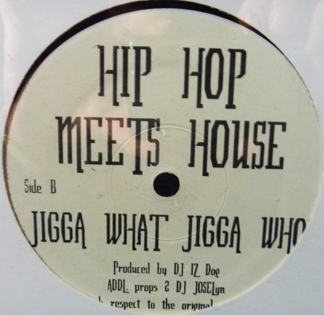 未使用 DJ Iz Dog - Hip Hop Meets House /12\"