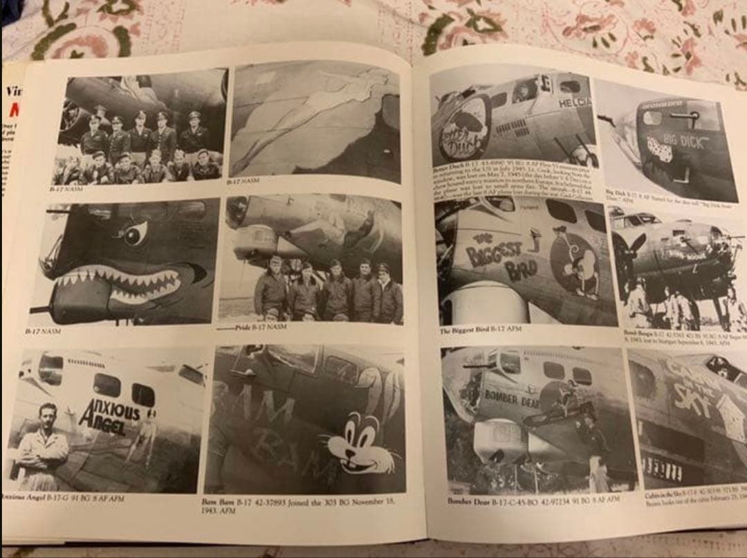 洋書 Vintage Aircraft Nose Art