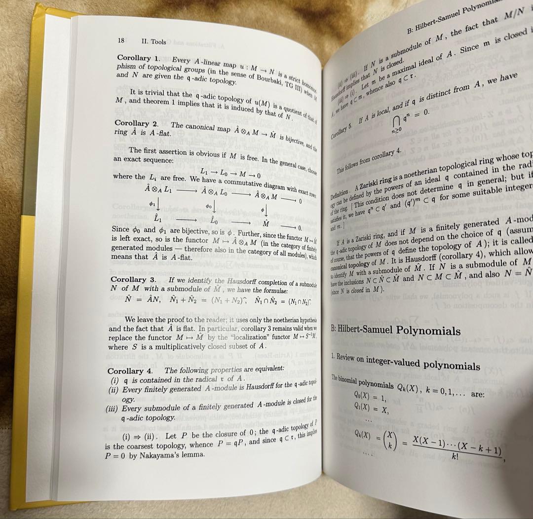 Local Algebra　jean pierre serre