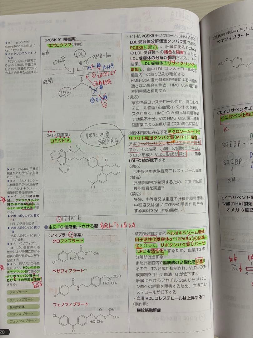 最新版第111回薬剤師国家試験 青本・青問全9巻セット　【薬ゼミ講義板書あり】