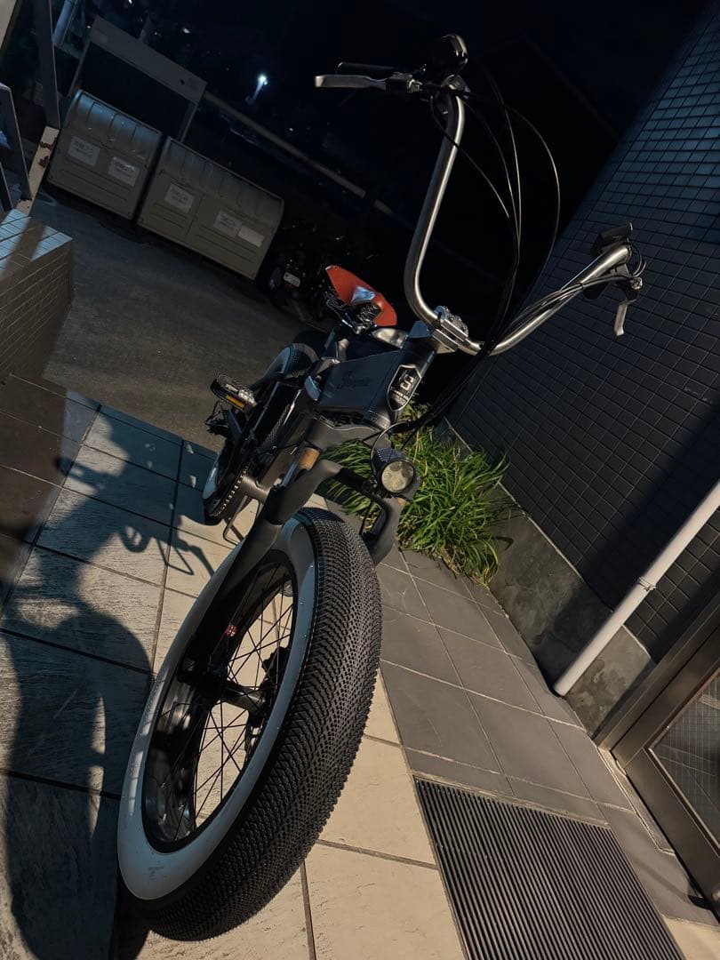 カスタム仕様 電動アシスト自転車 ローダウン 48V 250W改 裏ロム