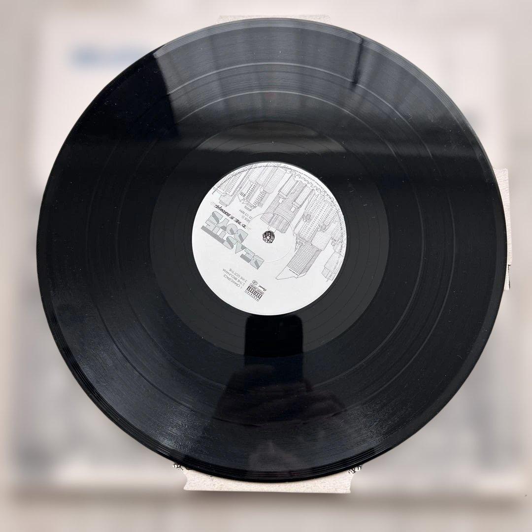 BEASTIE BOYS TO THE 5 BOROUGHS レコード