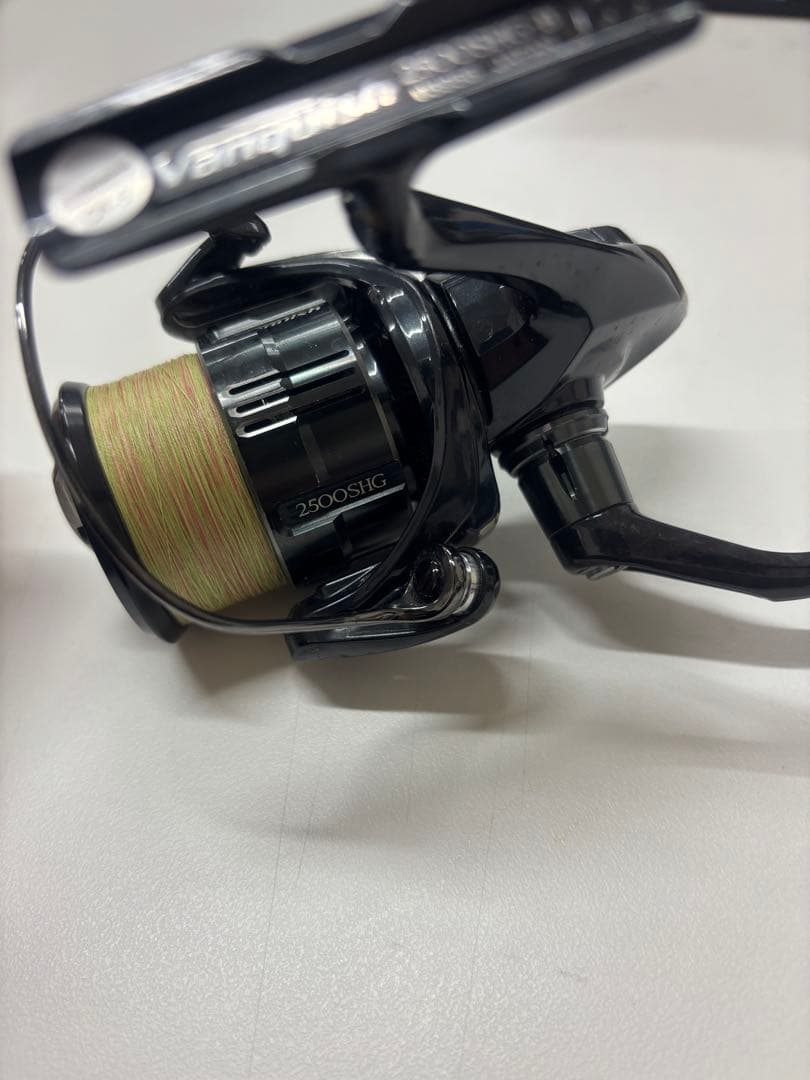 （即購入OK）19ヴァンキッシュ　2500shg