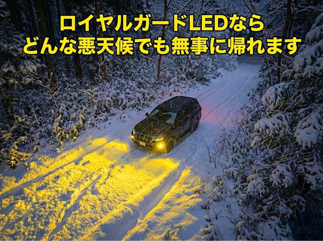 光量世界一ロイヤルガードオメガ LEDフォグ イエロー H8 H11 H16