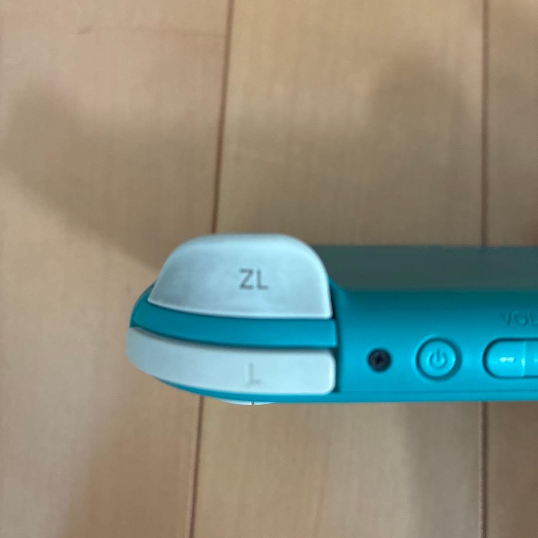Nintendo Switch Lite 本体　充電器　ケース　箱つき