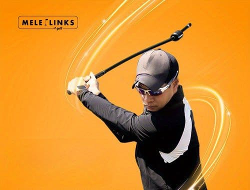 3d swing mentor　同機能品