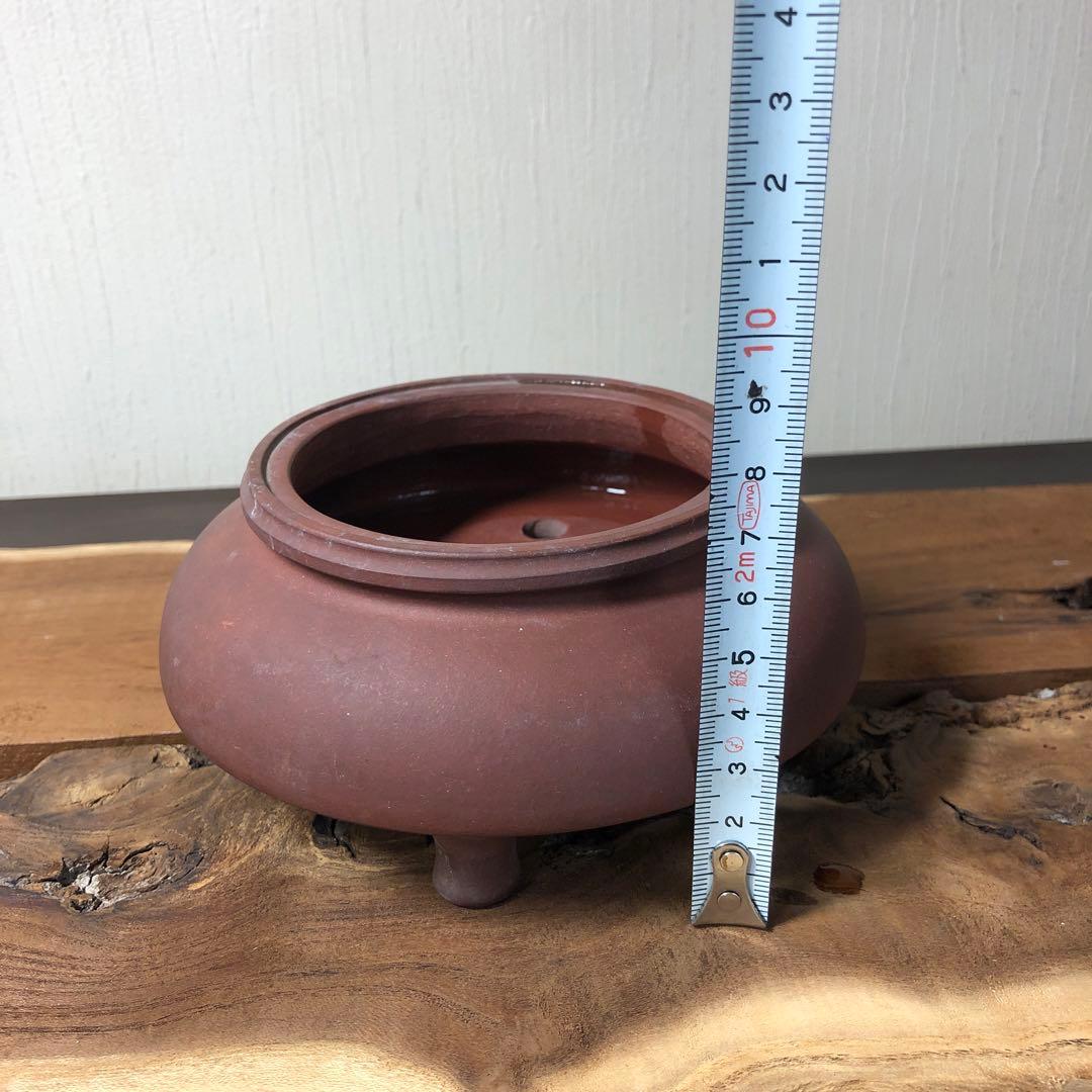 中国宜興　小品盆栽鉢