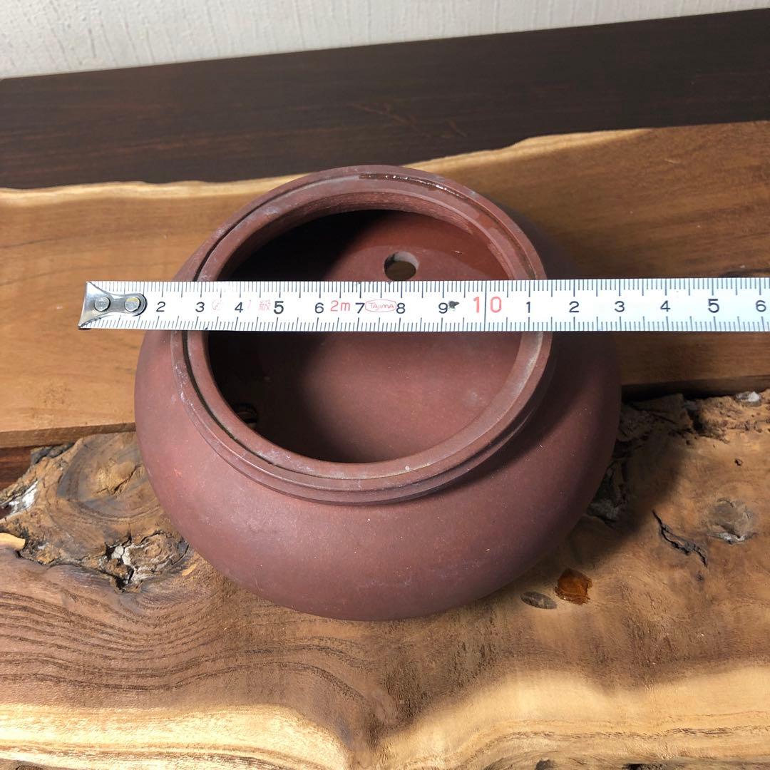 中国宜興　小品盆栽鉢