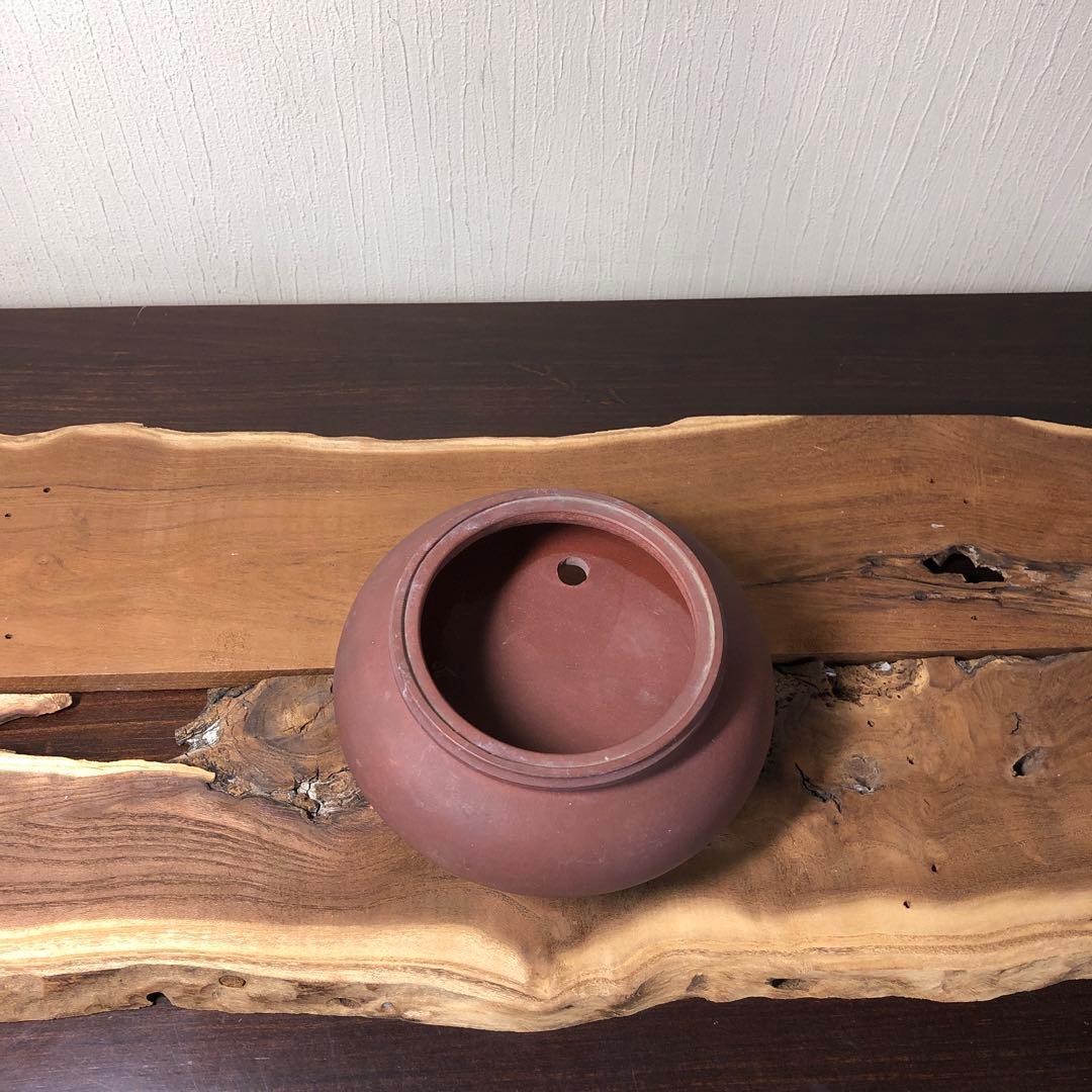 中国宜興　小品盆栽鉢