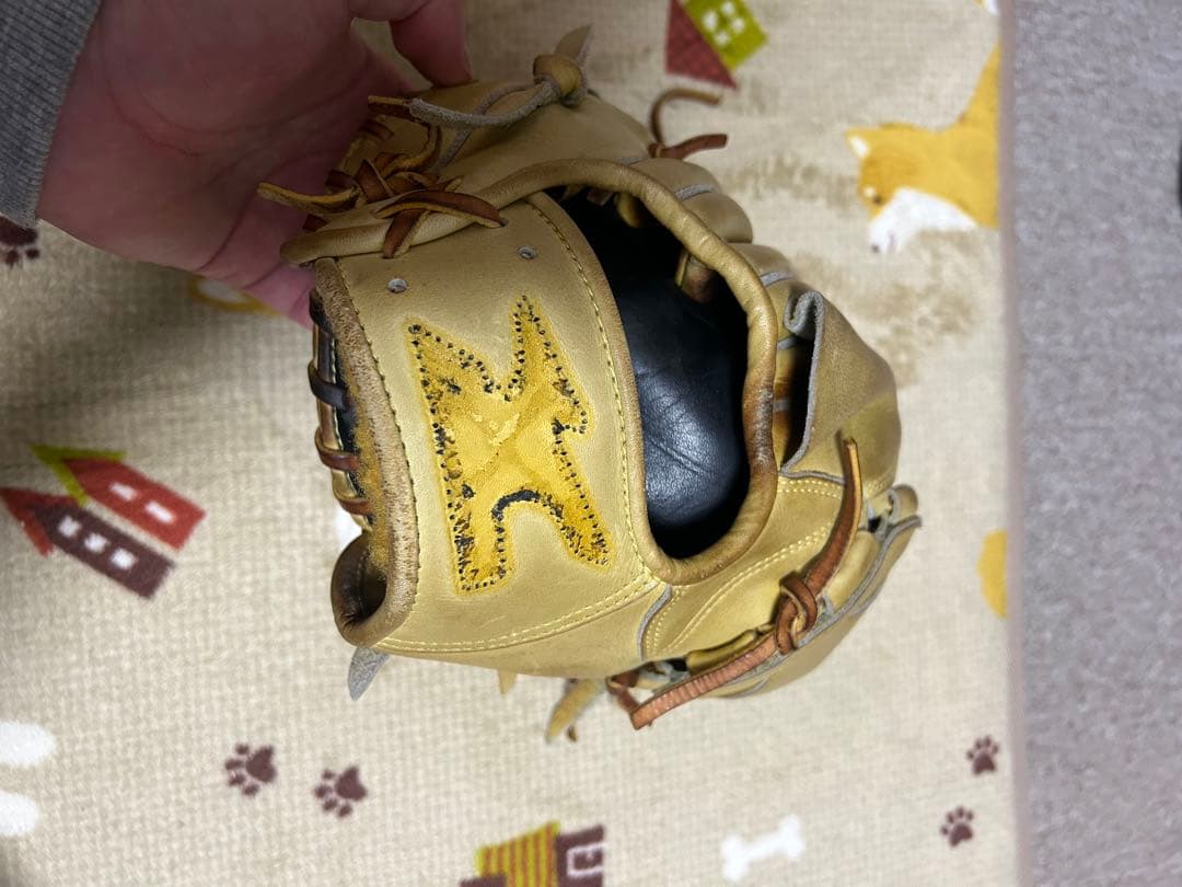 Mizuno Pro 軟式グローブと手袋セット