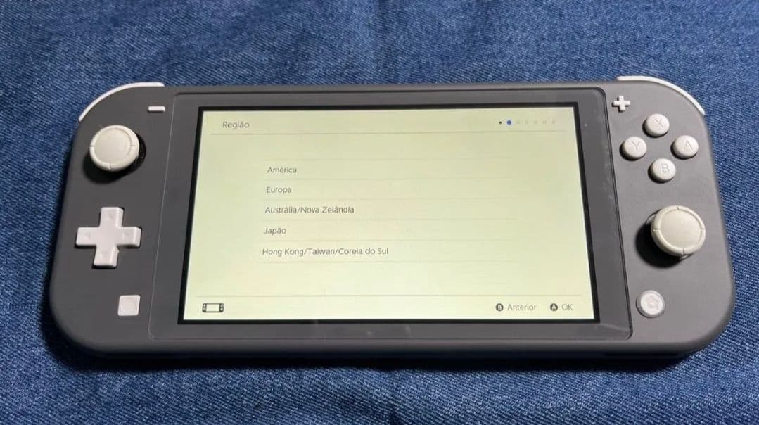 スイッチライト　グレー 本体　充電器　シリコンカバー　ハードケース　箱
