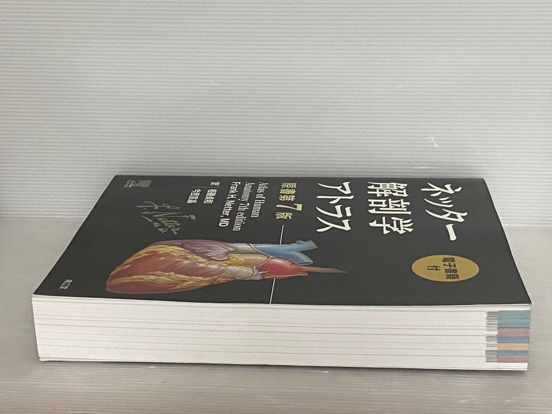 【電子書籍未使用】ネッター 解剖学アトラス（原書第７版）