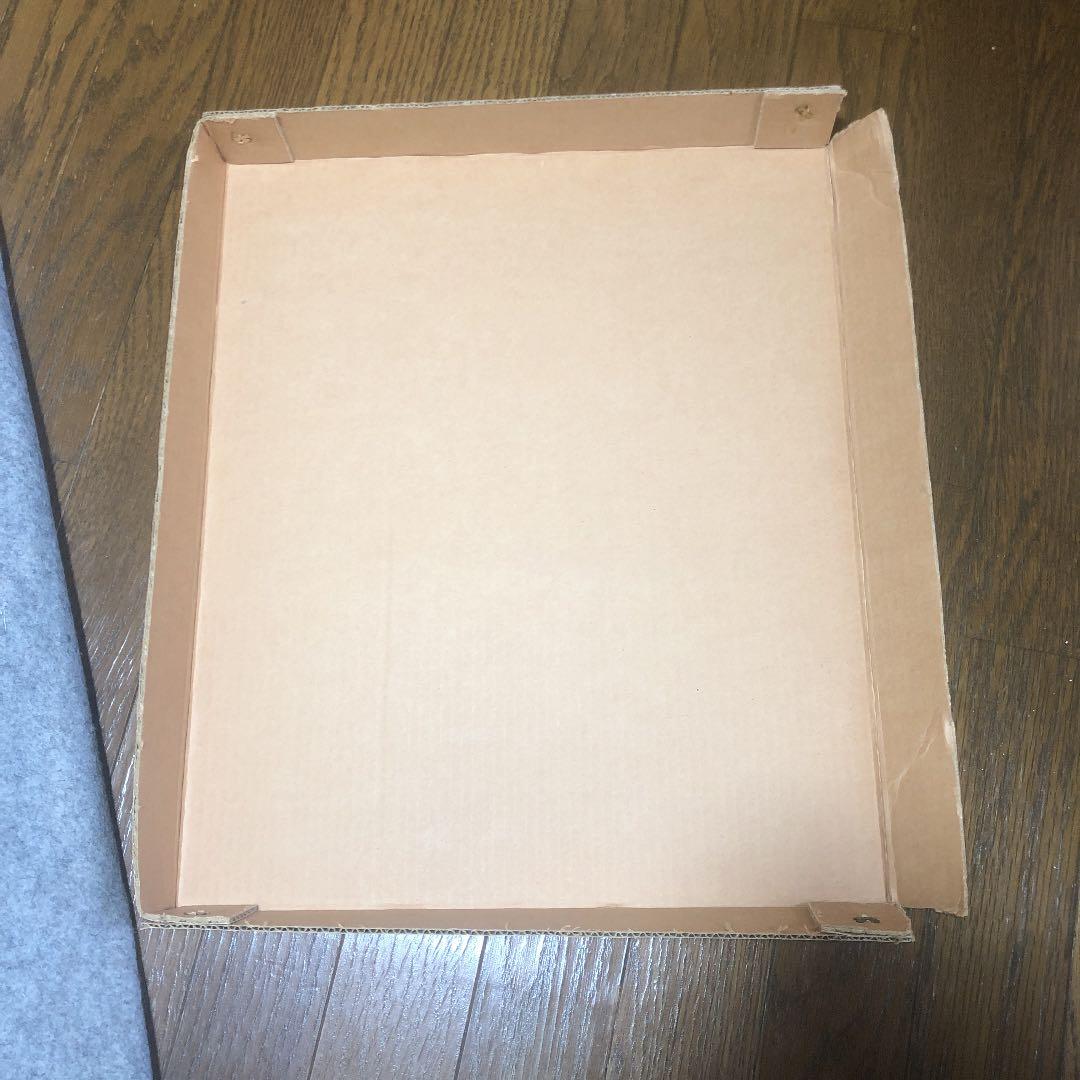 カルロス・テベス　サイン入り写真　額縁入り　証明書付き