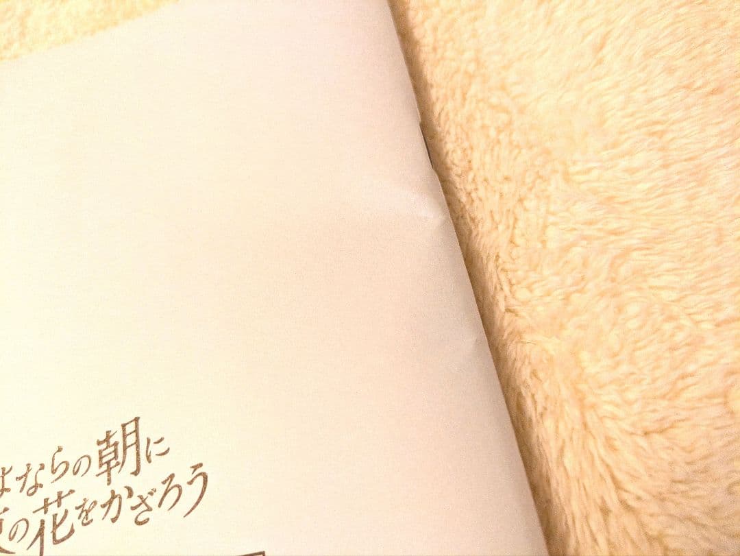 さよならの朝に約束の花をかざろう　井上俊之原画集 上・中・下巻 タイムシート集