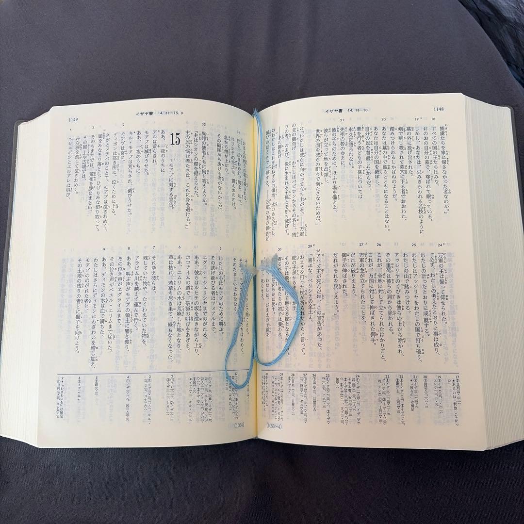 新改訳聖書 第３版