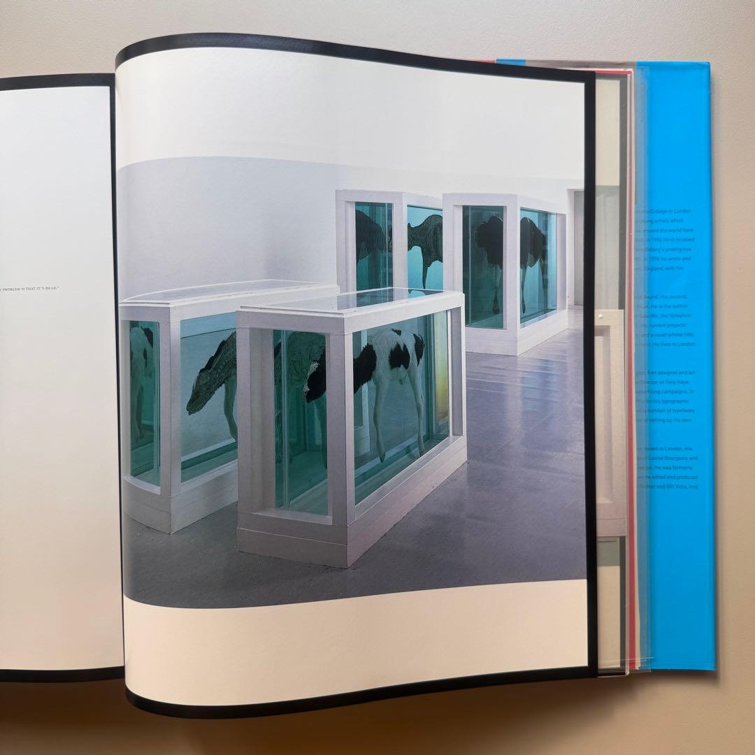 (大判ver)Damien Hirst