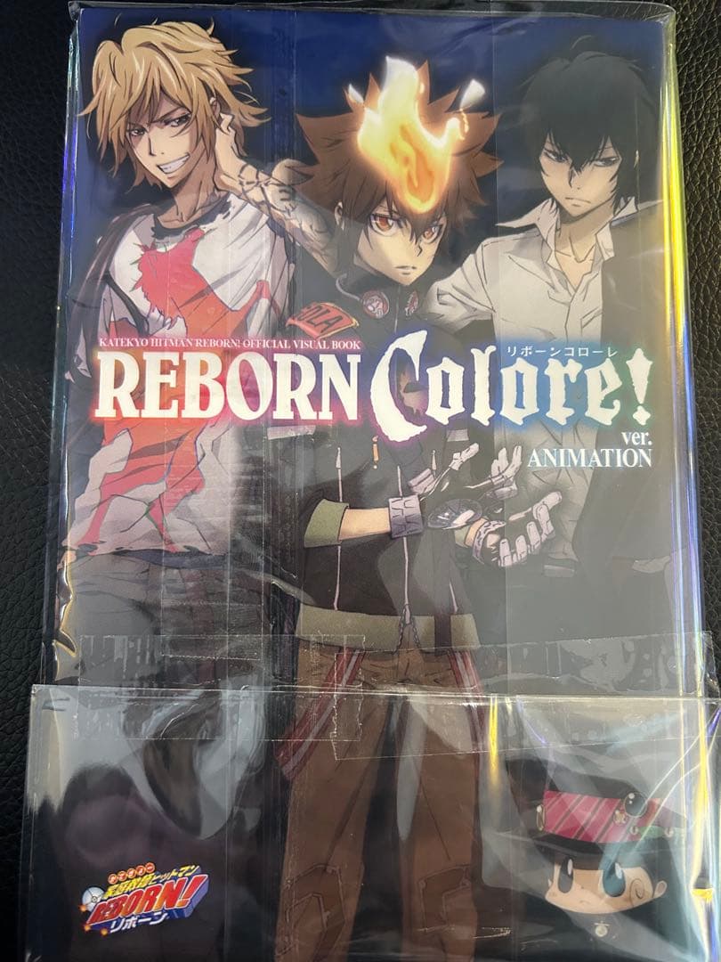 アート・デザイン・音楽 REBORN Colore! ver. ANIMATION