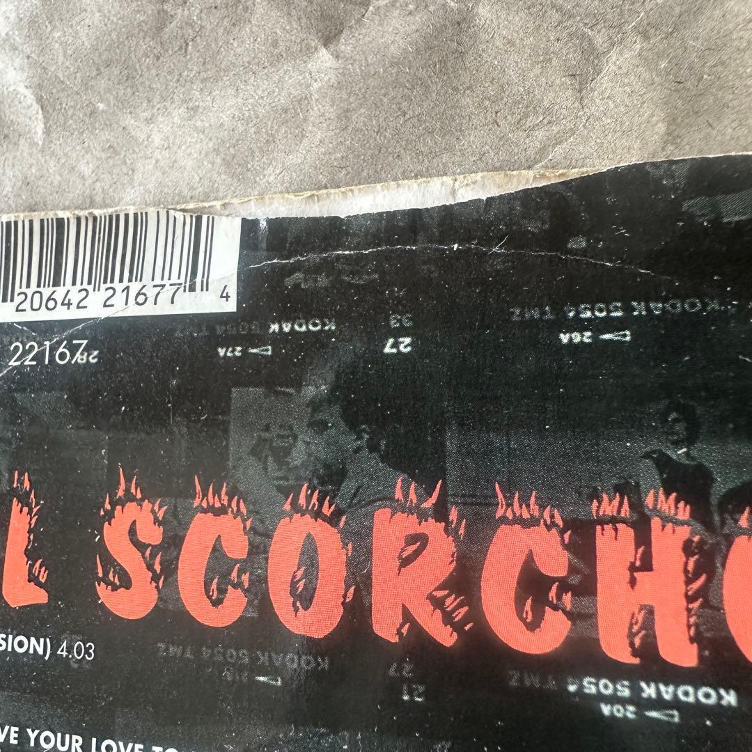 weezer EL SCORCHO シングルレコード