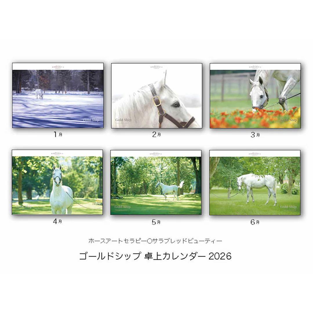 ゴールドシップ♡ 本革/革頭絡キーホルダー＆2026年　卓上カレンダー　未開封