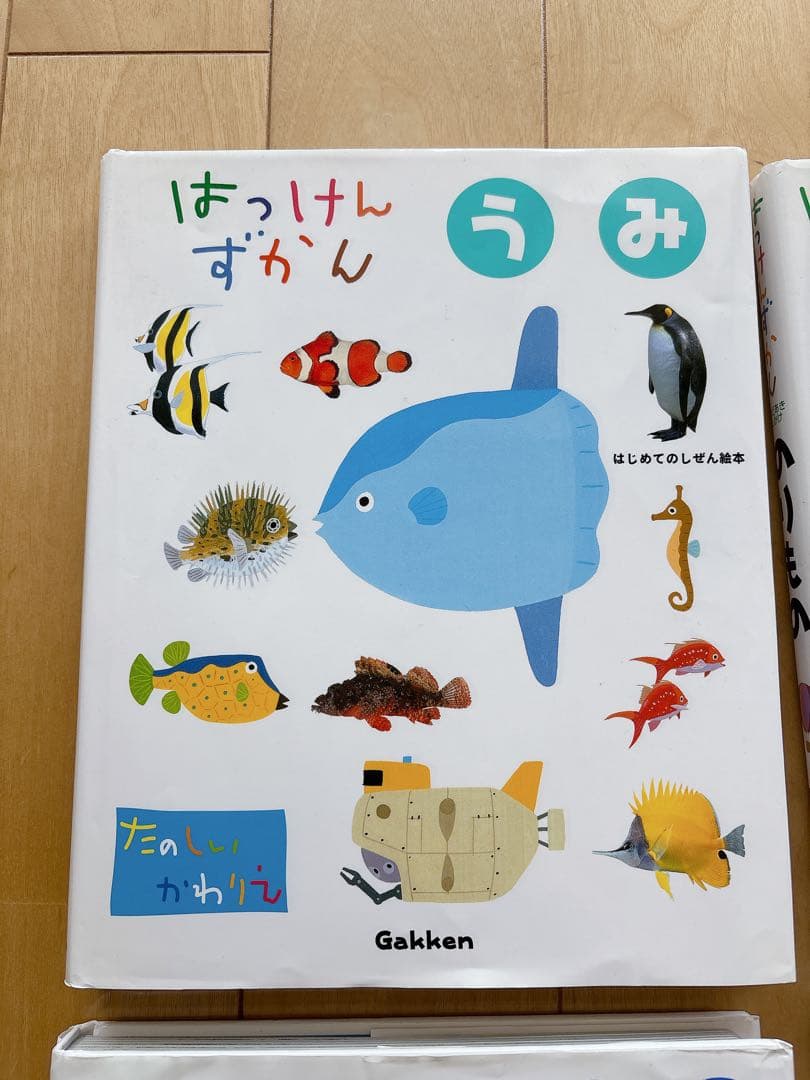 みゆ　はっけんずかん 6冊セット