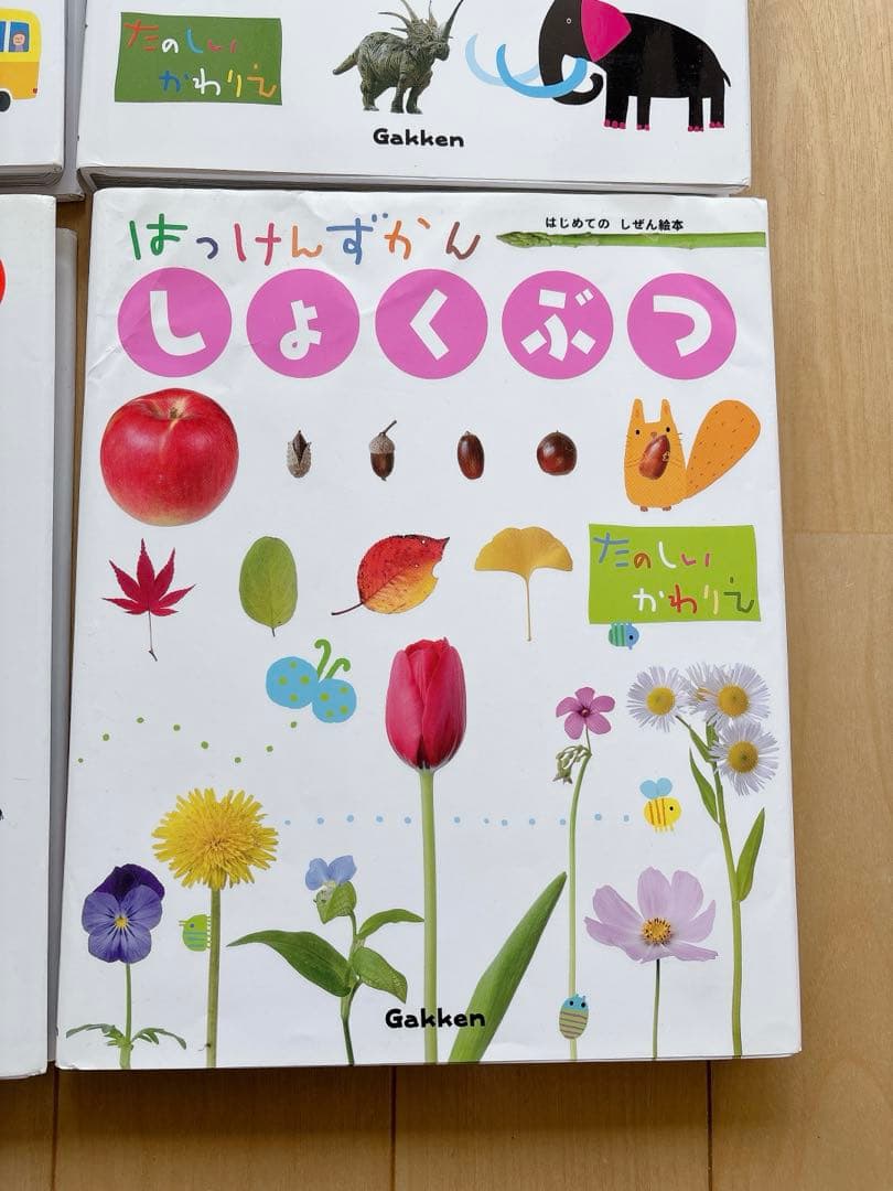 みゆ　はっけんずかん 6冊セット