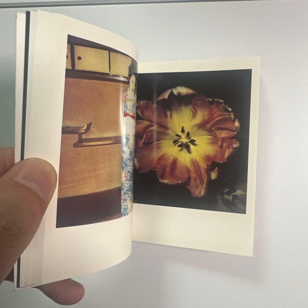 荒木経惟　写真集「POLAEROID」限定