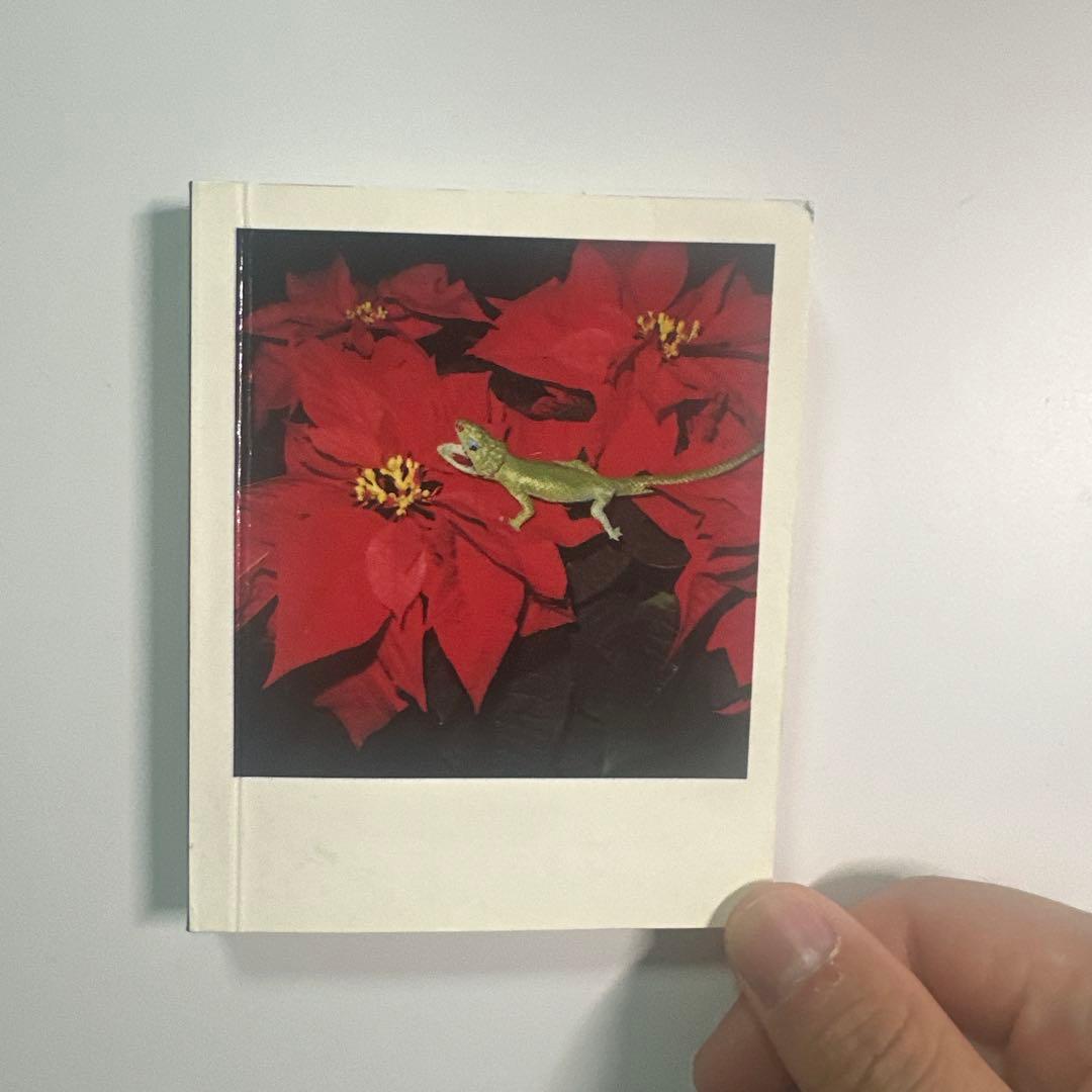 荒木経惟　写真集「POLAEROID」限定