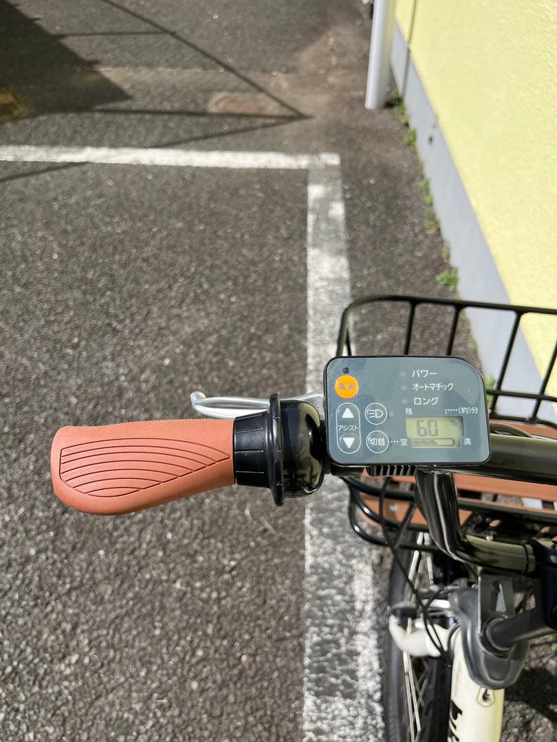 ブリヂストン ビッケポーラーe【近隣無料配送・たのメル便対応・説明必読】