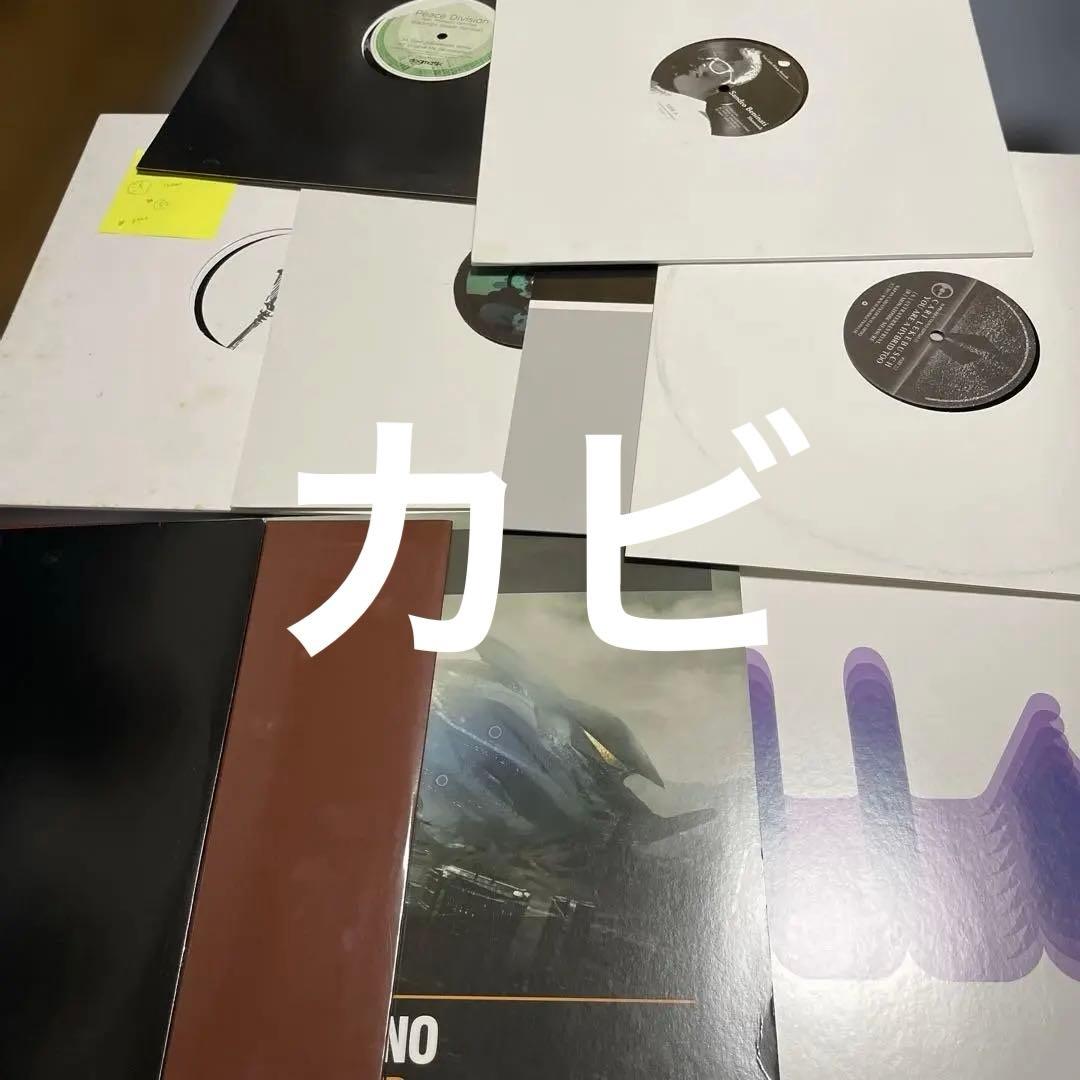 Techno/tech house未使用レコード30枚B