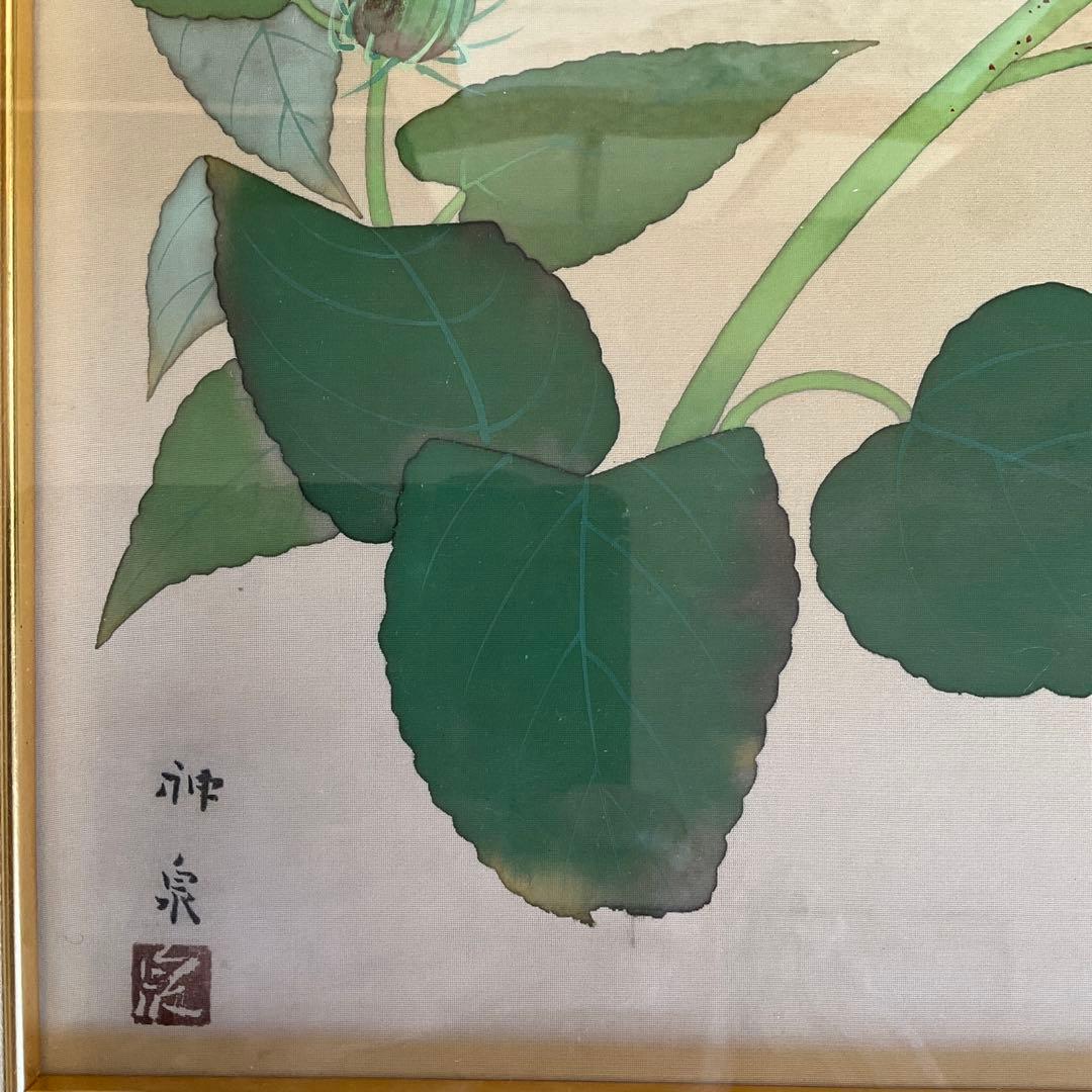 日本画　徳岡神泉作　花　10号　絹本