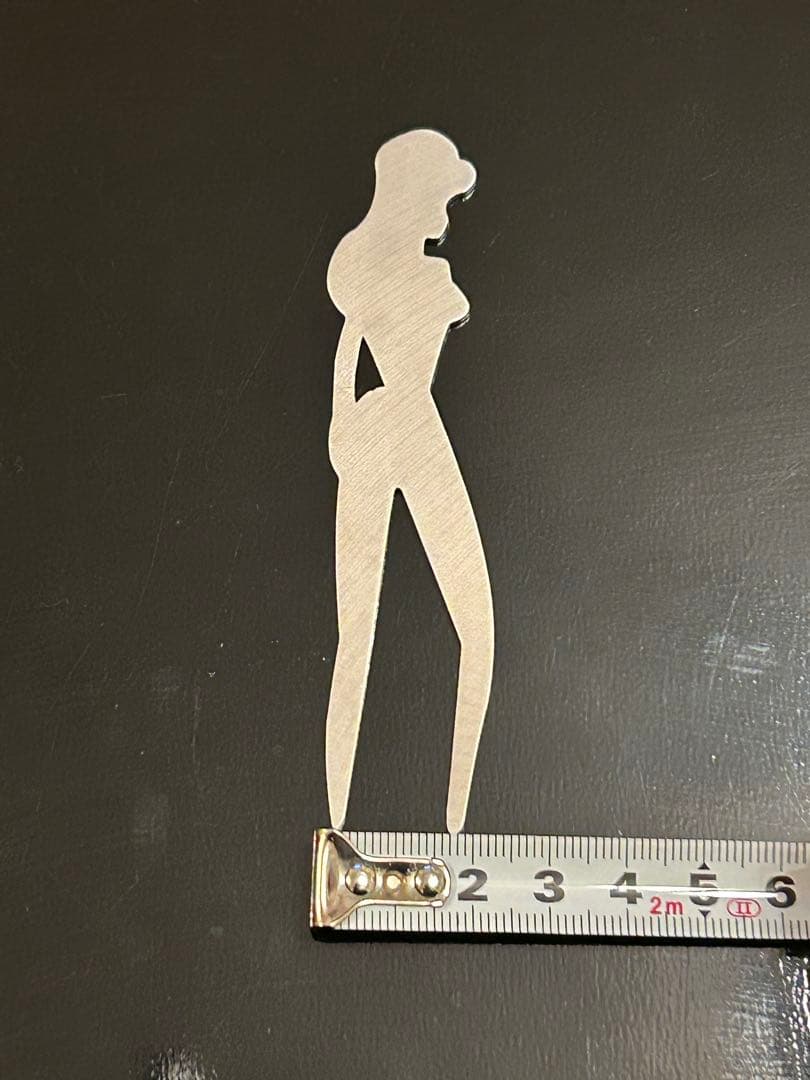 10個セット⭐︎超オシャレ女性シルエットのデザイン グリーンフォーク