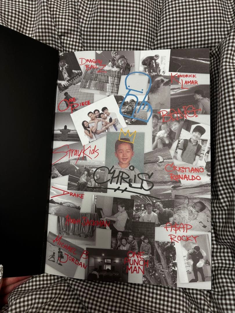 StrayKids アルバム まとめ売り 付属品付き