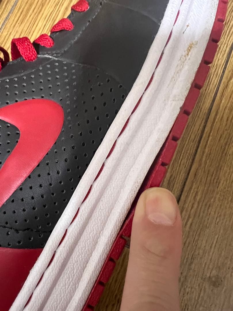 シューズ(男性用) NIKE AIR JORDAN 1 ALPHA BRED