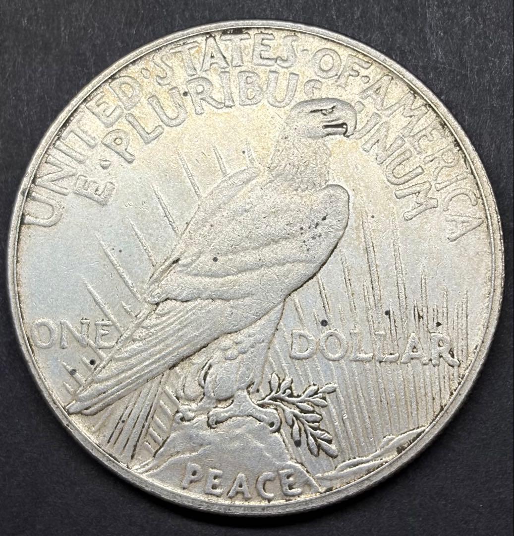 1926年 ピースダラー銀貨 実測完全級 大型銀貨