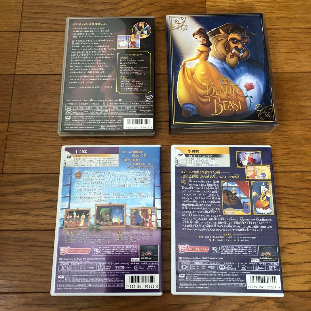 美女と野獣シリーズ　DVD まとめ売り